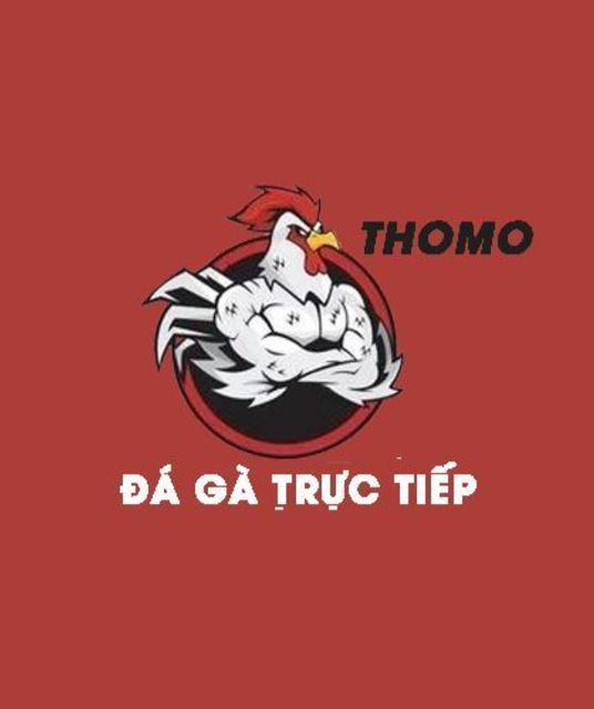 avatar Đá gà trực tiếp Thomo