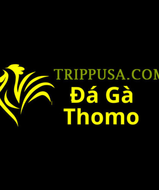 avatar Đá Gà Trực Tiếp Thomo