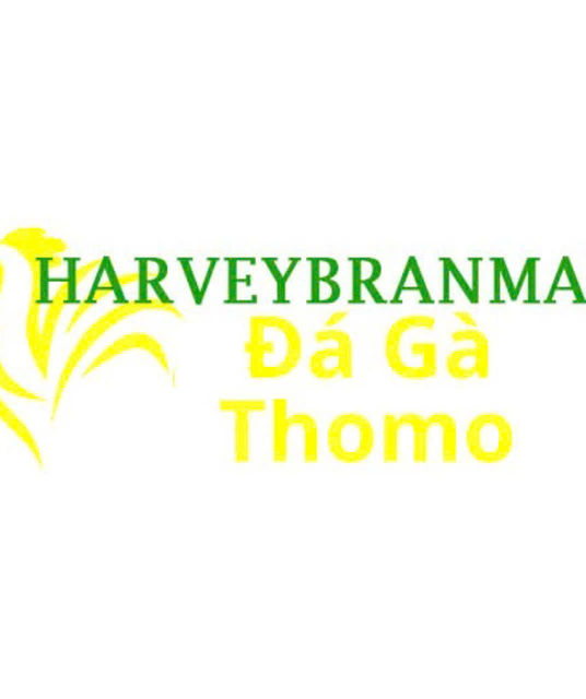 avatar Đá Gà Trực Tiếp Thomo