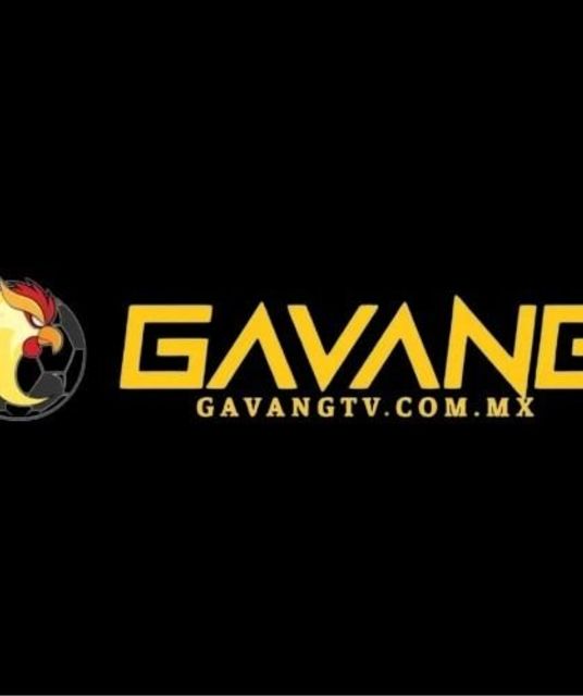 avatar GaVangTV COMMX